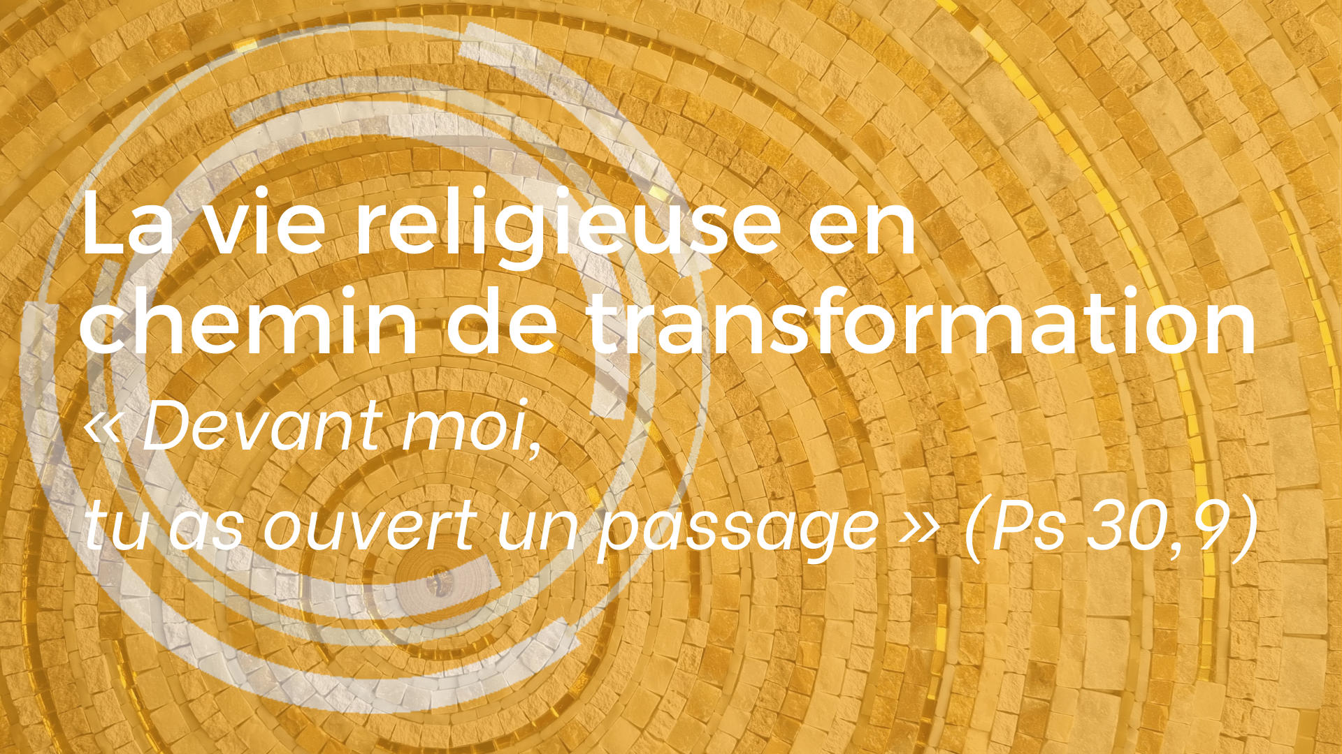 Lire la suite à propos de l’article « La vie religieuse en chemin de transformation » 