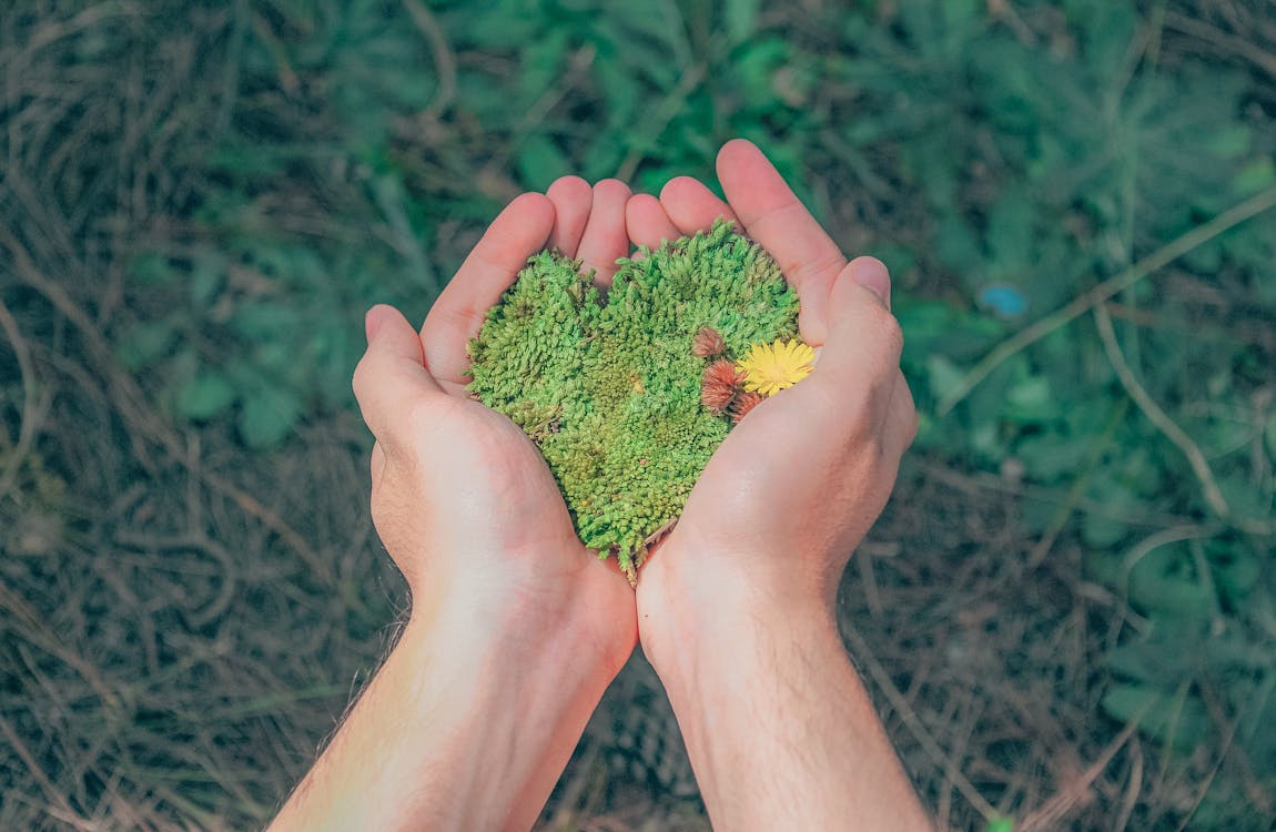 écologie intégrale